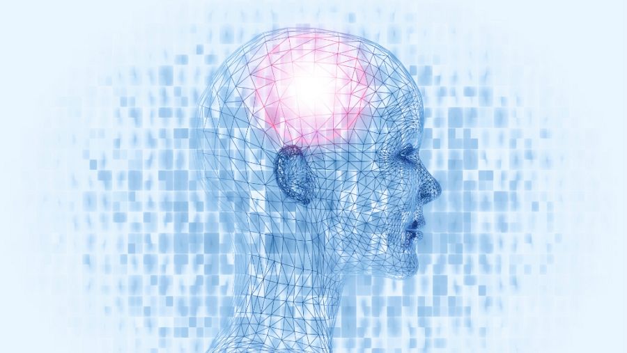 Cerebros matemáticos