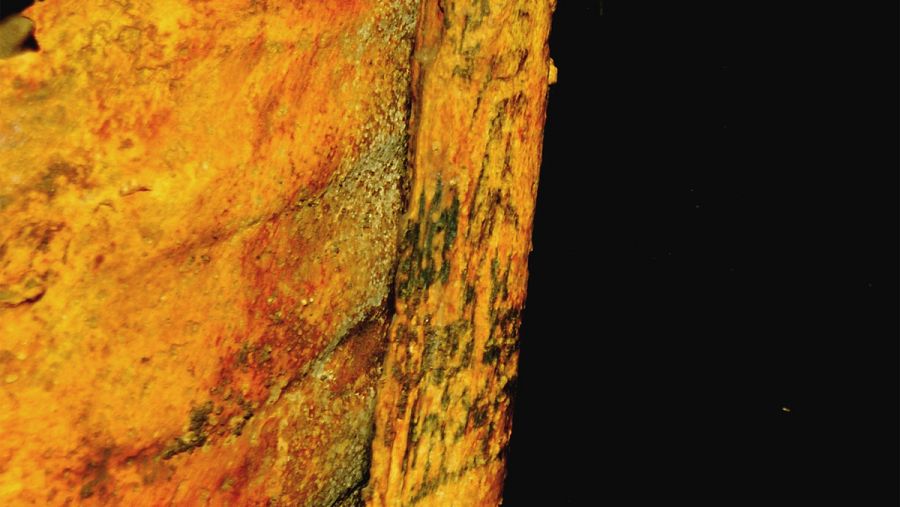 La momia de Deir el-Medina cuenta con más de 30 tatuajes. ANNE AUSTIN