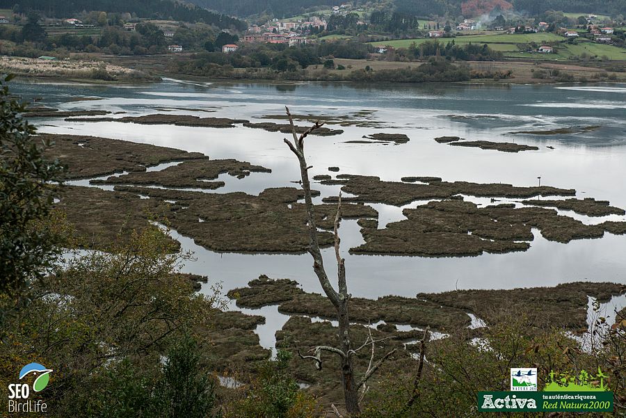 Urdaibai es uno de los humedales más importantes del litoral cantábrico