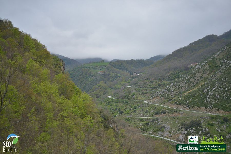 El despoblamiento de los pueblos de montaña y el abandono de la ganadería en estas zonas es uno de los principales problemas para la preservación de los algunos hábitats