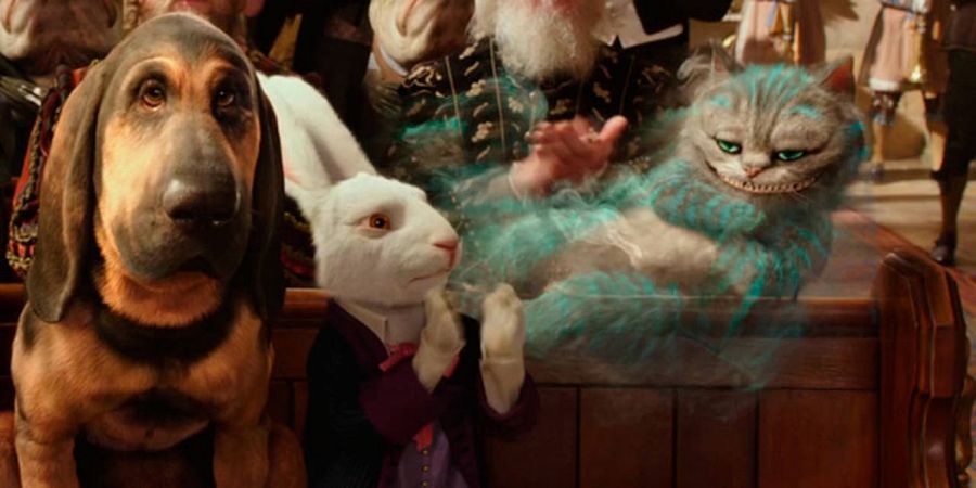 El sabueso, el conejo y el gato vuelven a ayudar a Alicia en su nueva misión