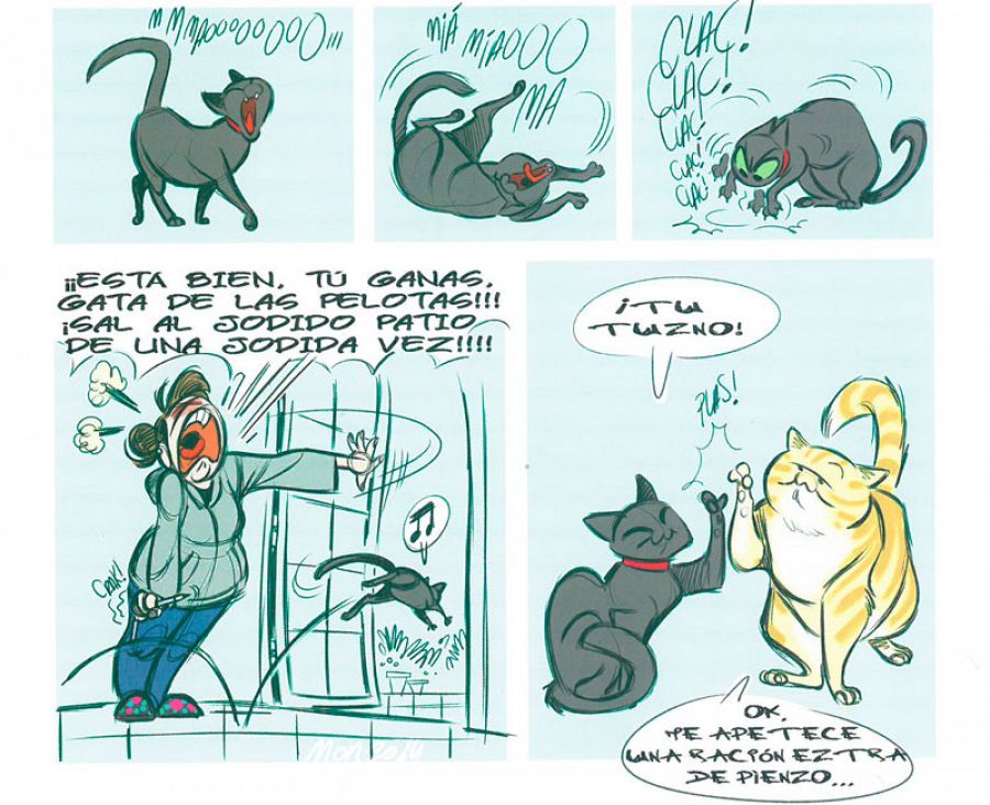 Viñetas de 'Gatitos', de Montse Martín