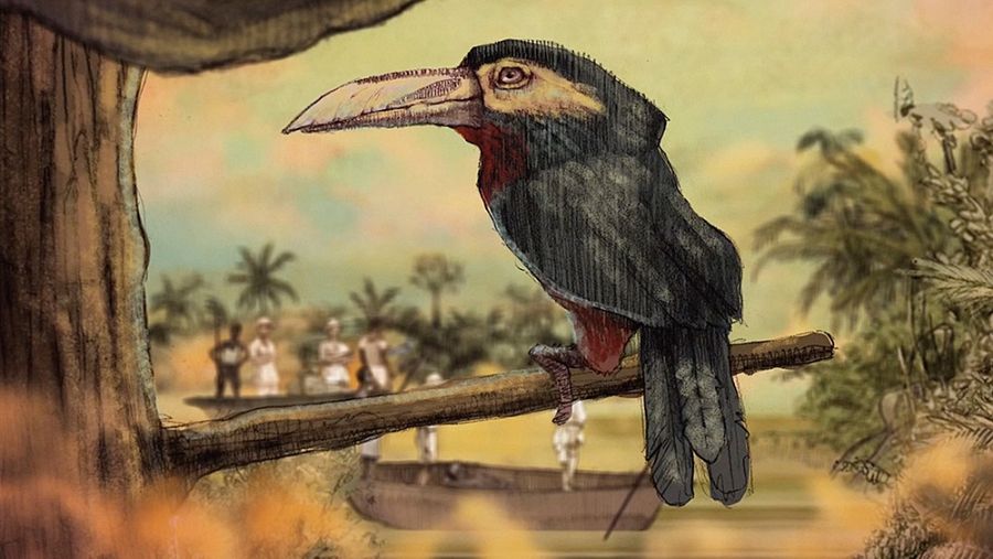 Frame del documental: Un día vi 10.000 elefantes