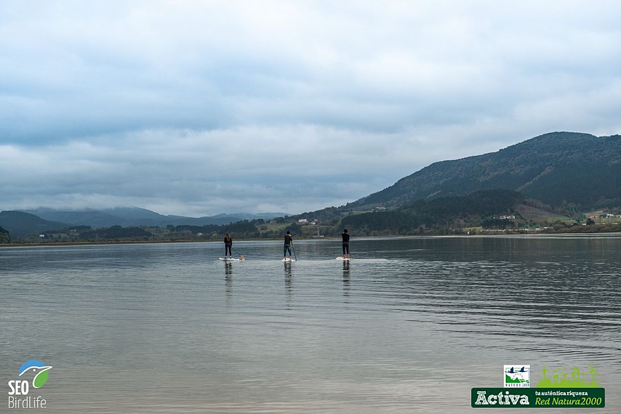 Paisaje en Urdaibai