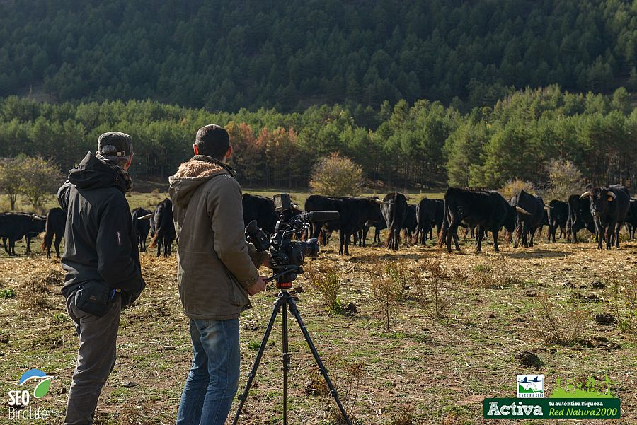 Rodando en el Alto Tajo