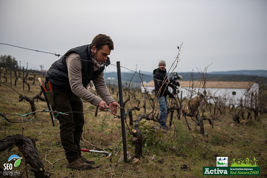 José Antonio, trabajando en sus viñedos en la sierra norte de Sevilla