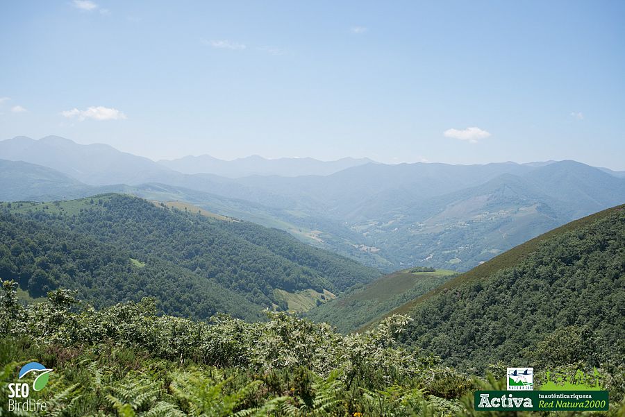   Una vista de la fuentes del río Narcea y del Ibías, en Asturias