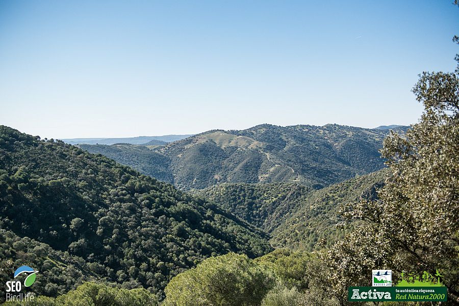 Paisaje de la sierra norte de Sevilla