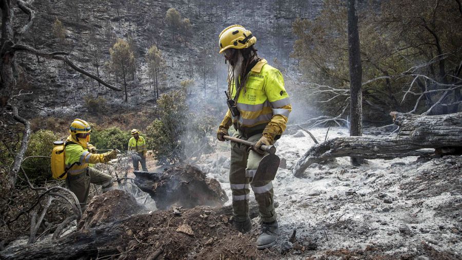 Dan por controlado el incendio de Carcaixent, en Valencia, tras arrasar 2.200 hectáreas