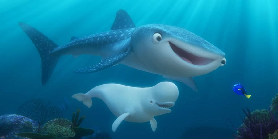 Destiny, el tiburón ballena, y Bailey, la Beluga