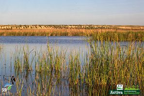 Paisaje de los Humedales de La Mancha