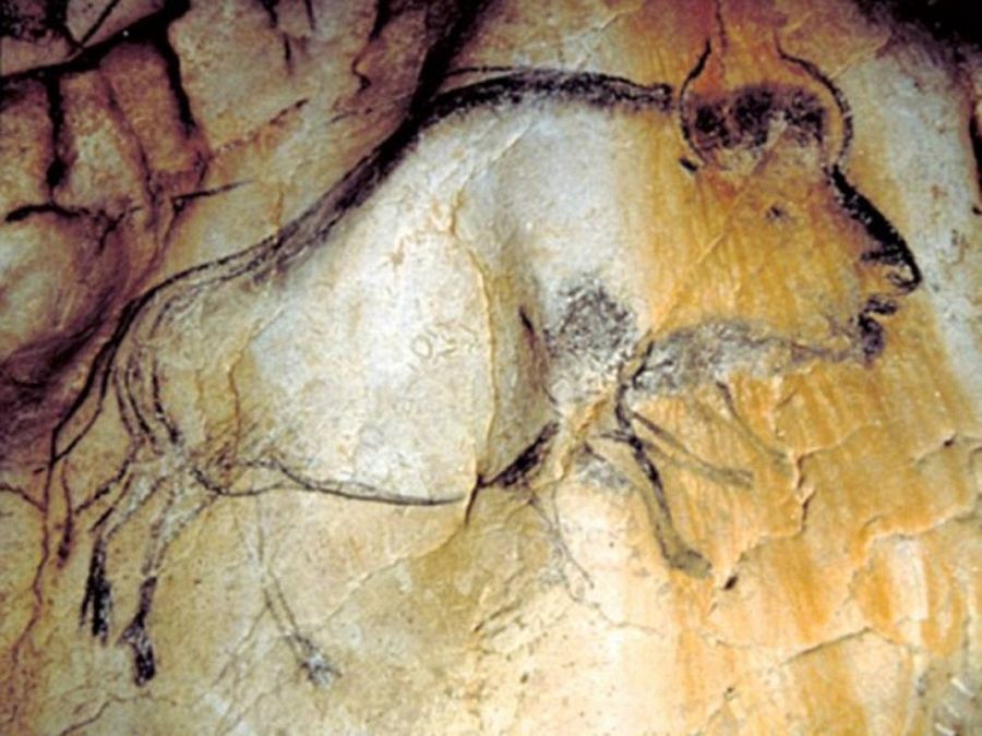 Bisonte de ocho patas en la cueva de Chauvet