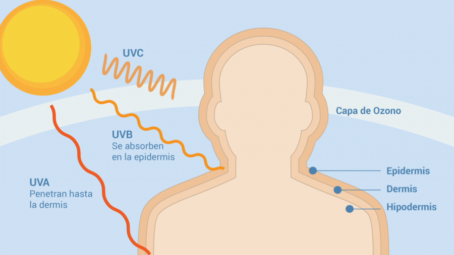 Hay tres clases de radiación ultravioleta que llega del sol: UVA, UVB Y UVC
