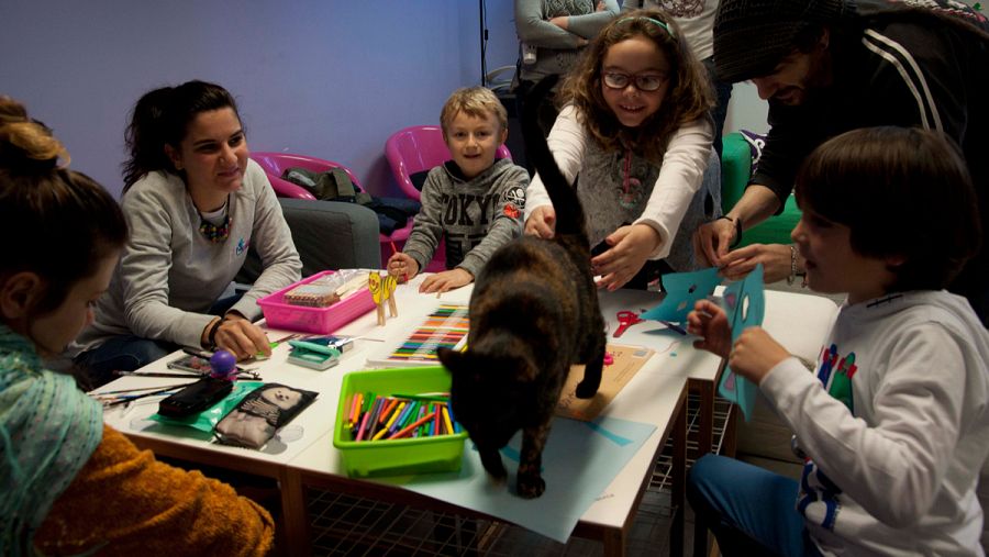 En el establecimiento también se ofrecen terapias con gatos para niños y discapacitados.