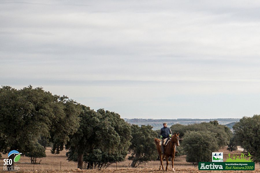 Finca el Castañar en Montes de Toledo