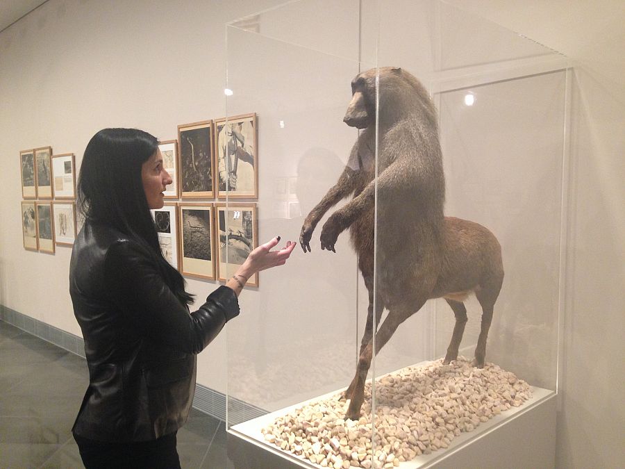 En la exposición de Fauna, de Joan Fontcuberta, la presentadora Clara Peñalver saluda a una de las creaciones fantásticas del artista