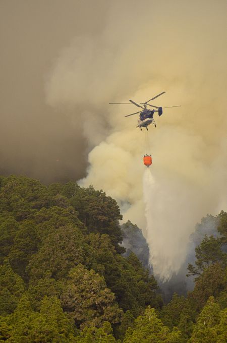 Un helicóptero descarga agua sobre el fuego en el incendio en el municipio de El Paso, en La Palma.