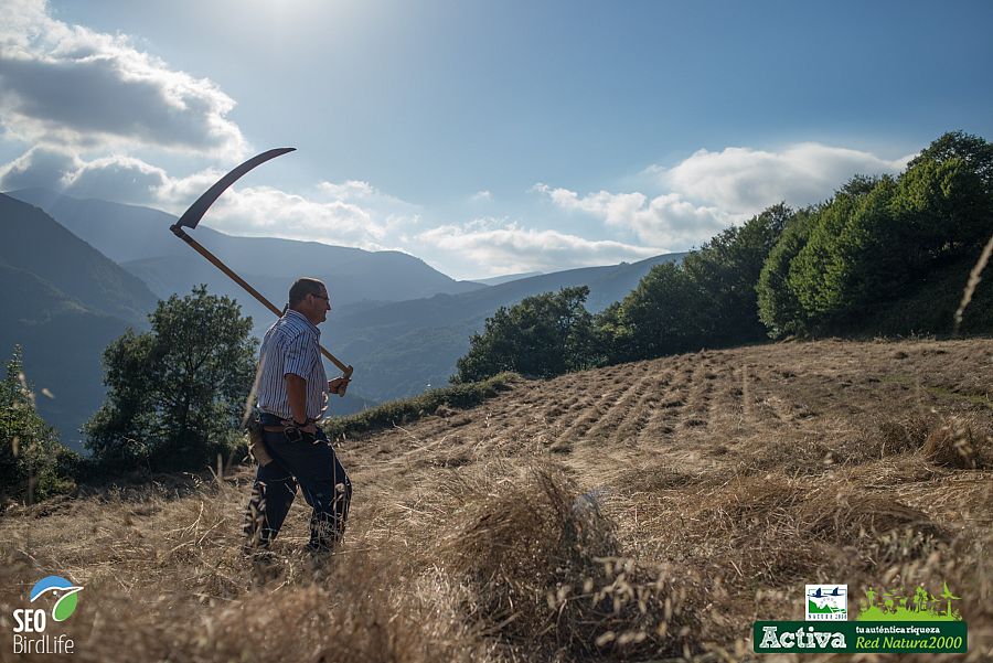 Segundo en Fuentes del Narcea y del Ibias