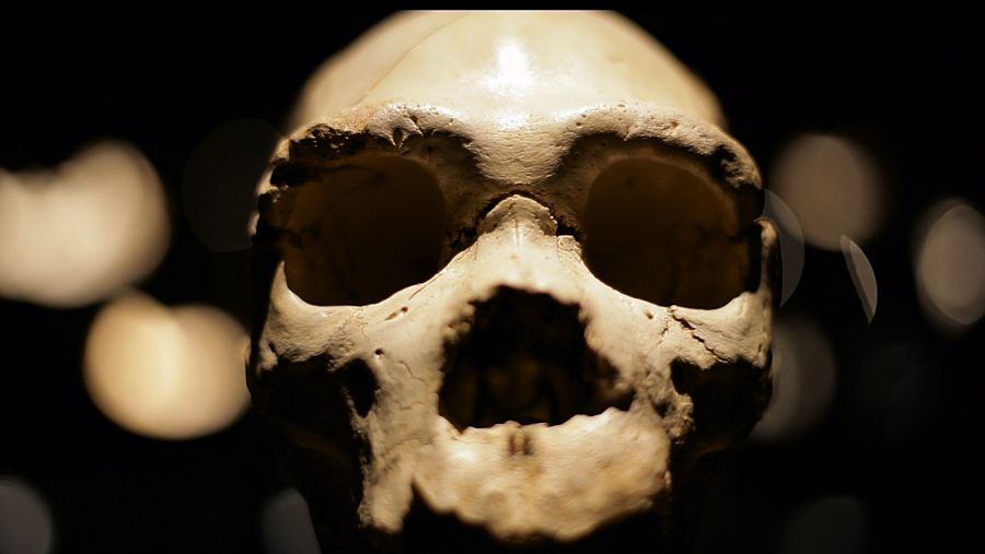 Restos del Homo Antecessor, hallado en Atapuerca