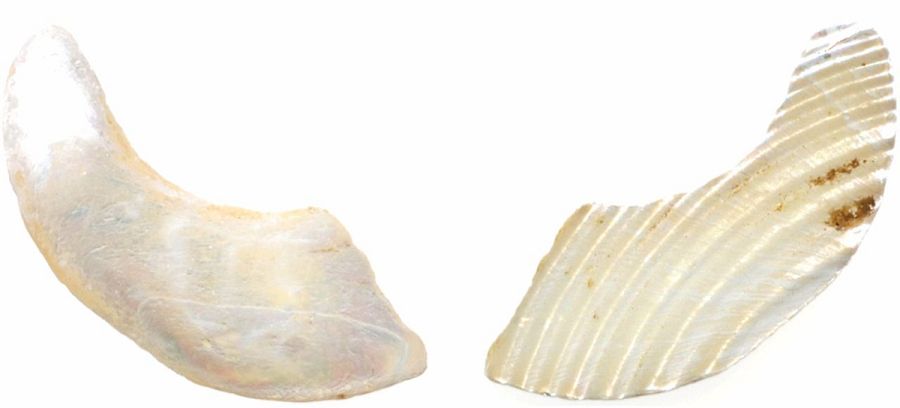 Anzuelos parcialmente tallados