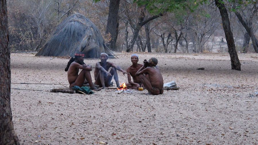 El equipo recorre en su búsqueda África, Laponia, Turquía y la Península del Yucatán