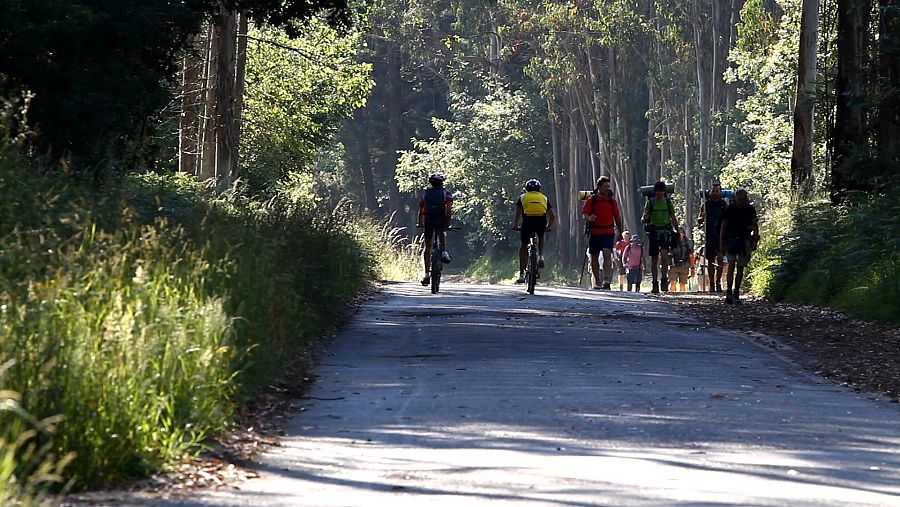 Peregrinos hacia Santiago