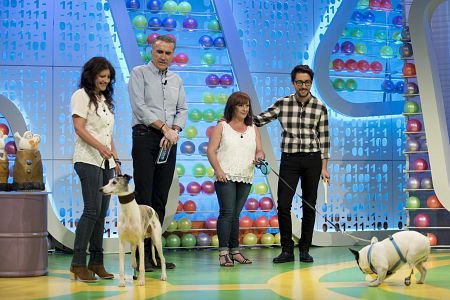 Buddy y Runner, dos perros  muy especiales, son los invitados en la sección de Flipy