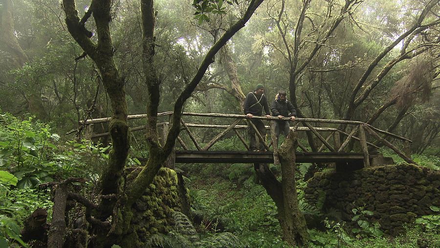 La ruta de La Llanía es uno de los senderos más populares en el que se descubre un bosque húmedo y tupido