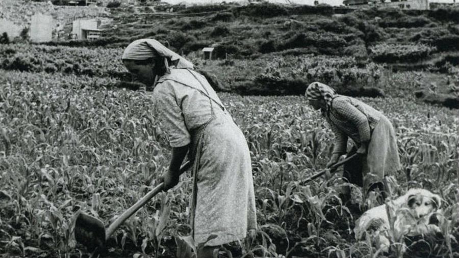 Naciones Unidas reconoce desde 2008 el trabajo de la mujer rural dedicándole un día en el calendario (15 de octubre)