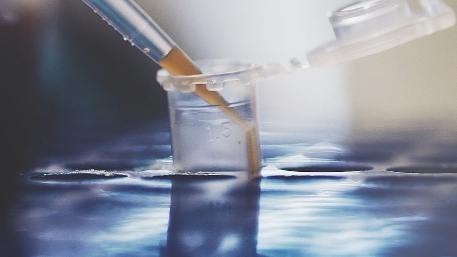 En el laboratorio de genética