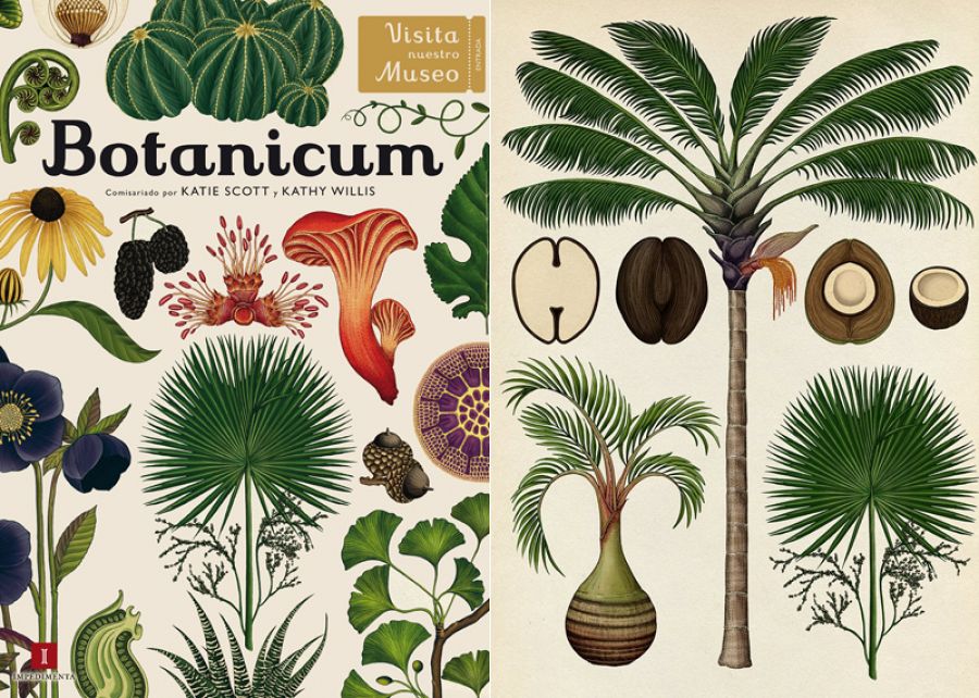 Portada y página de 'Botanicum'