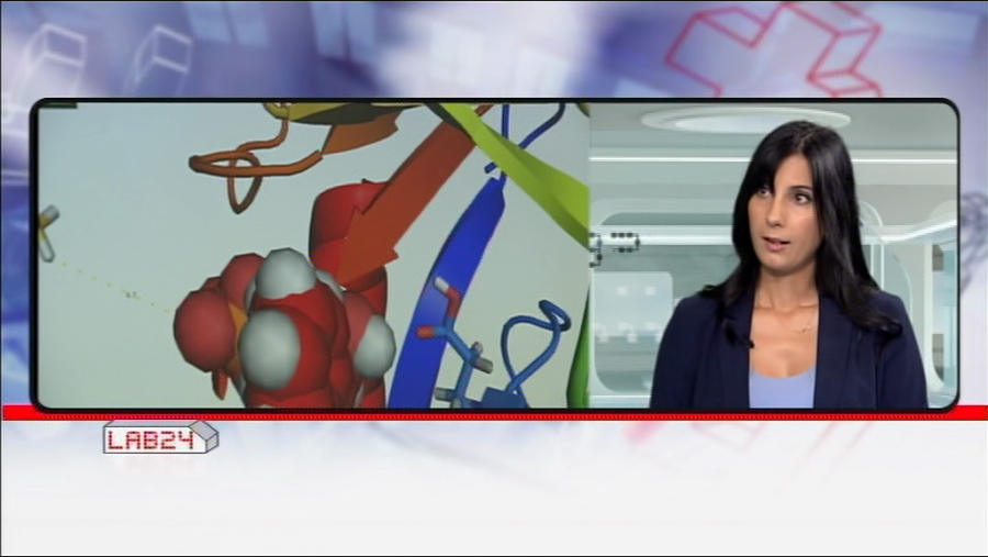 Silvia Osuna diseña catalizadores que hagan mas barata la producción de fármacos