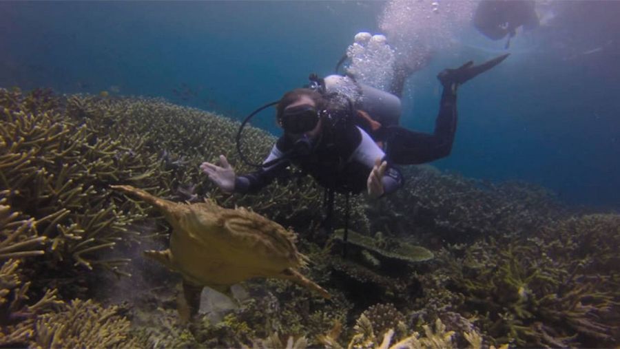 Dani Landa, buceando en Pacífico