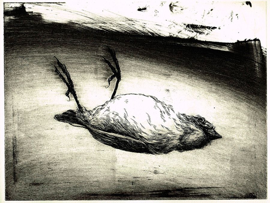 Ilustración de 'La sed'