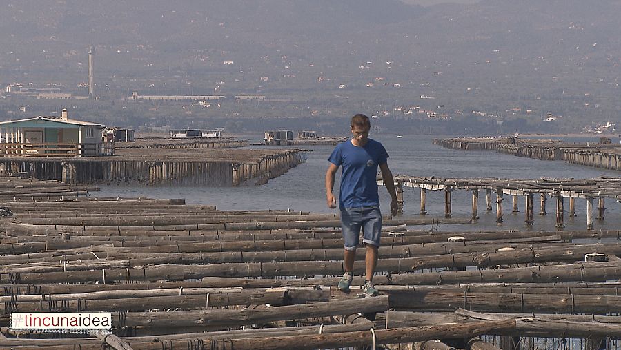 Delta de l'Ebre, el primer sake mediterrani
