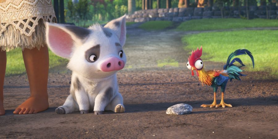 El cerdito y el gallo, las dos divertidas mascotas de Vaiana