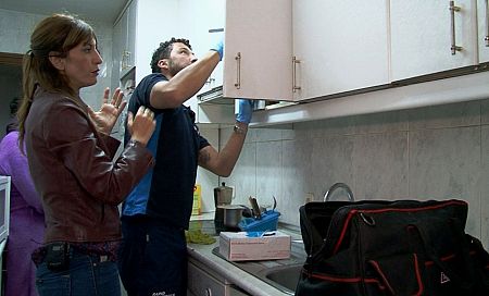 La cucaracha alemana, la plaga más común en los hogares españoles, prefiere quedarse en la cocina