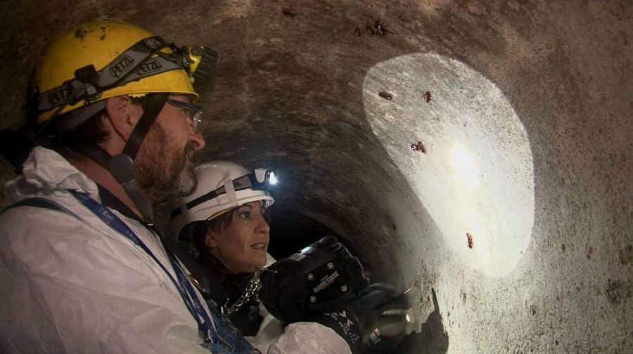 n muchas alcantarillas de Madrid anidan roedores, cucarachas o moscas de atranco