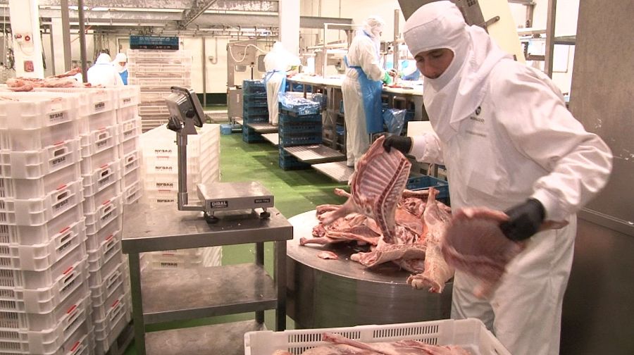 En la mitad de las casas se come cordero por Navidad