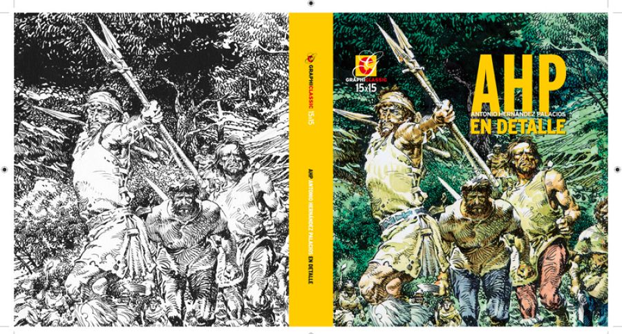 Cubiertas de 'AHP en detalle'