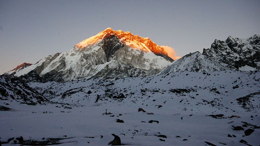 'Memoria de delfín' alcanza la cima