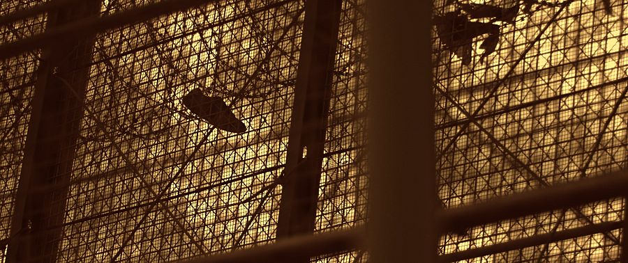 Una zapatilla enganchada en los alambres de la valla que impide el acceso de Marruecos a Melilla