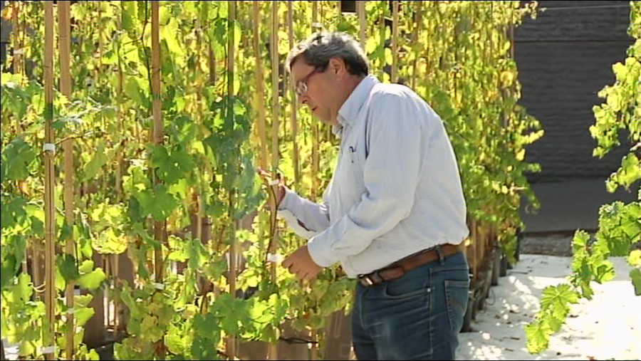 José Miguel Martínez dirige el ICVV