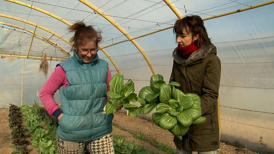 Comando actualidad, Guerra de precios