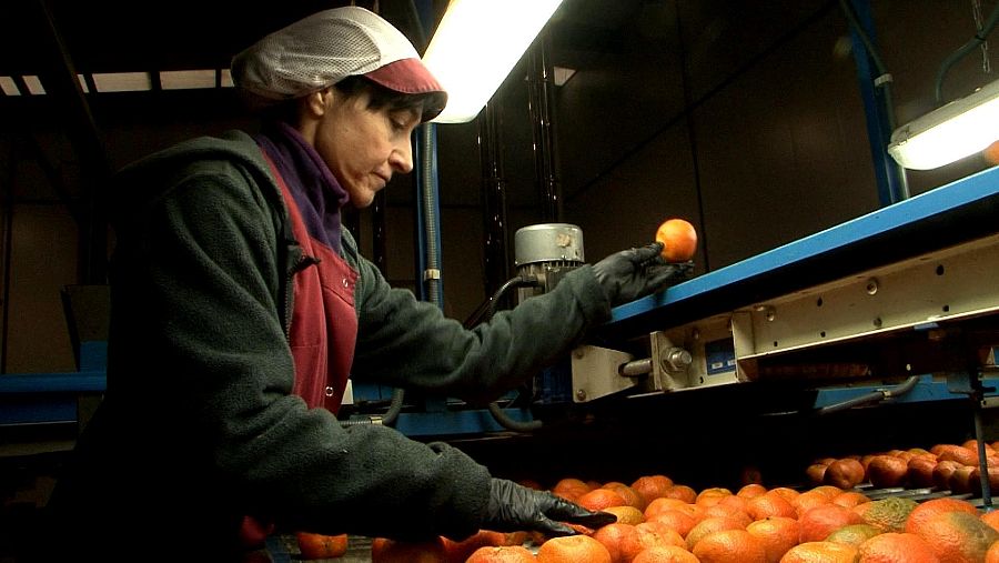 Comando actualidad, Guerra de precios