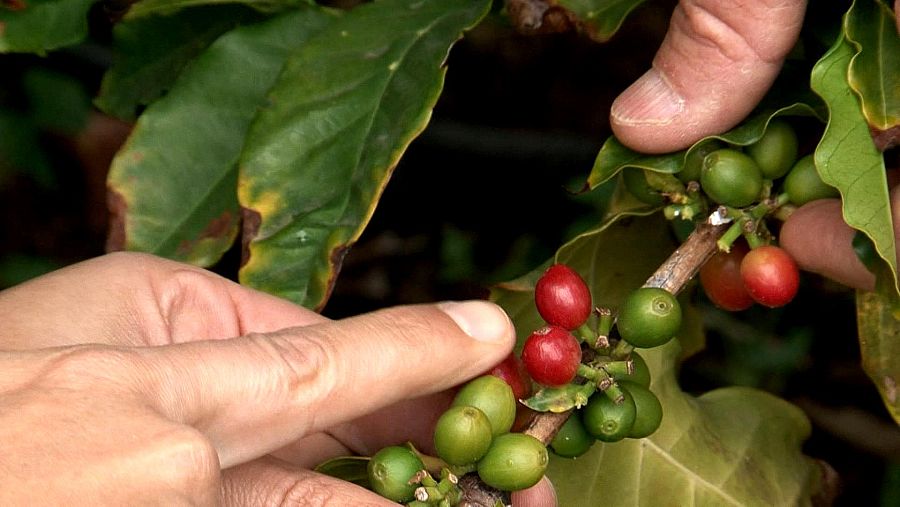 Comando actualidad, Guerra de precios