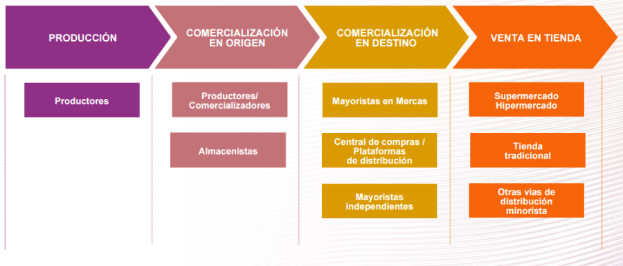 Estructura general de las cadenas de valor según el Observatorio de Precios de los Alimentos.