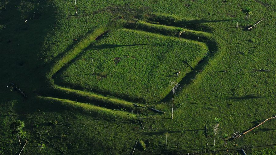 El equipo internacional de científicos ha hallado cientos de estas figuras.