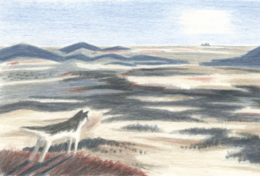 Ilustración de 'Los lobos de Currumpaw'