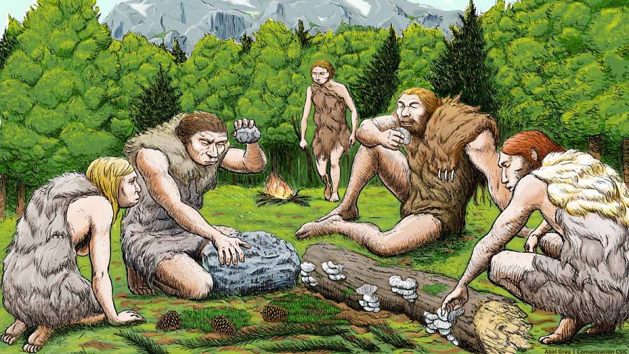 Cinco neandertales de El Sidrón degustan setas, piñones y musgo. Abel Grau / CSIC Comunicación